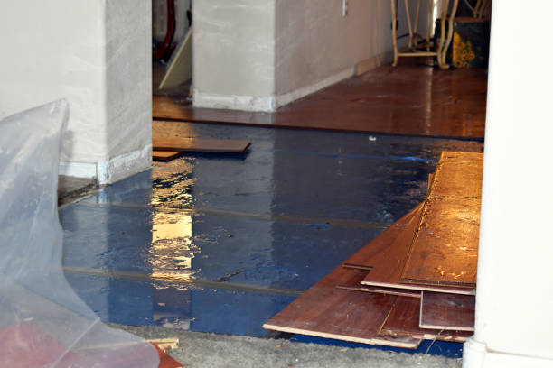 Professional Water Damage Restoration technician working in Bath, NH
